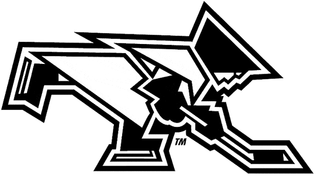 Providence Friars 2000-Pres Misc Logo diy DTF decal sticker